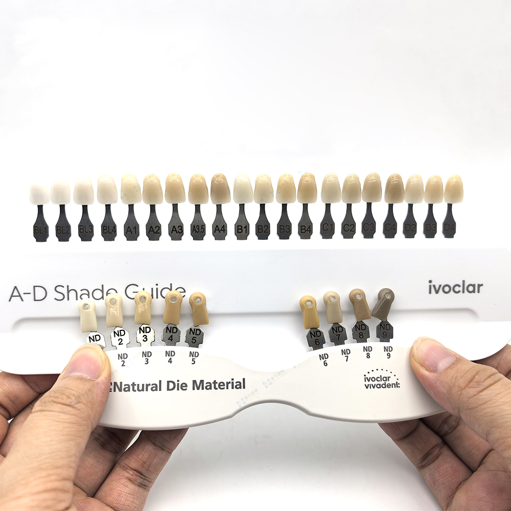 Teeth Whitening Shade Guide - 이보클라 치과 색상표 크라운 복원 표백