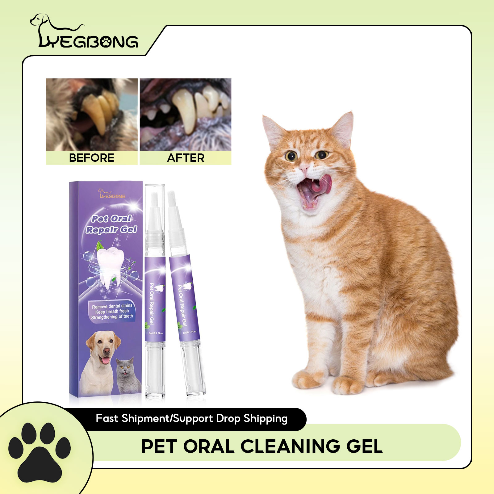 Teeth Whitening From Home - 애완 동물 구강 수리 젤 강아지