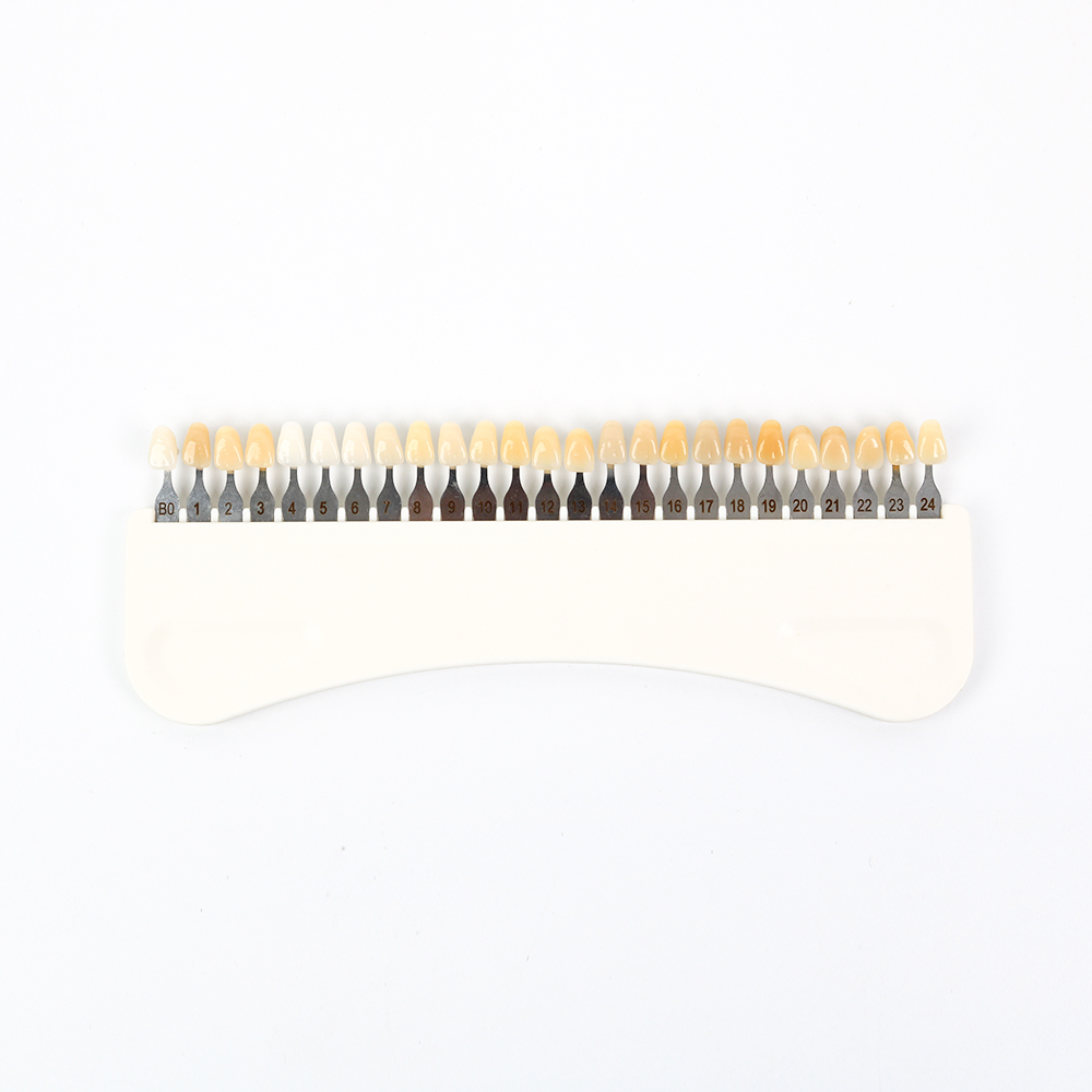 3D 치아 미백 색상 가이드 25가지 색상 도자기 치아 - Teeth Whitening Shade Guide 리뷰 및 가격