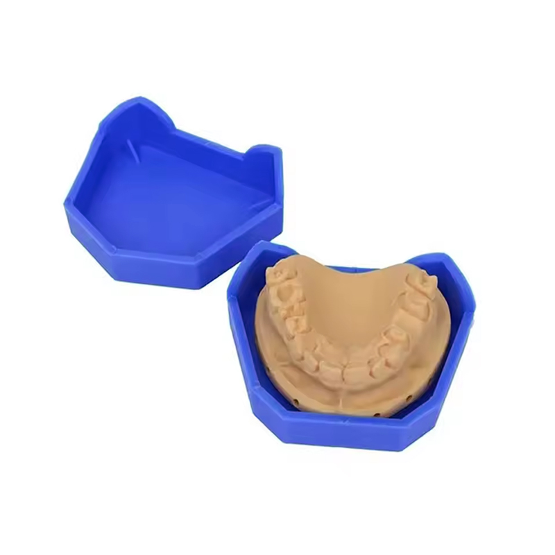 2/6Pcs 치과 모델 기본 실리콘 석고 모델 기본 틀 - Teeth Whitening Trays 리뷰 및 가격