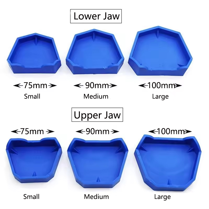 2/6Pcs 치과 모델 기본 실리콘 석고 모델 기본 틀 - Teeth Whitening Trays 리뷰 및 가격