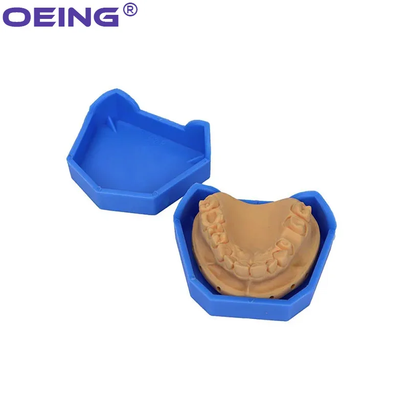 2/6Pcs 치과 모델 기본 실리콘 석고 모델 기본 틀 - Teeth Whitening Trays 리뷰 및 가격