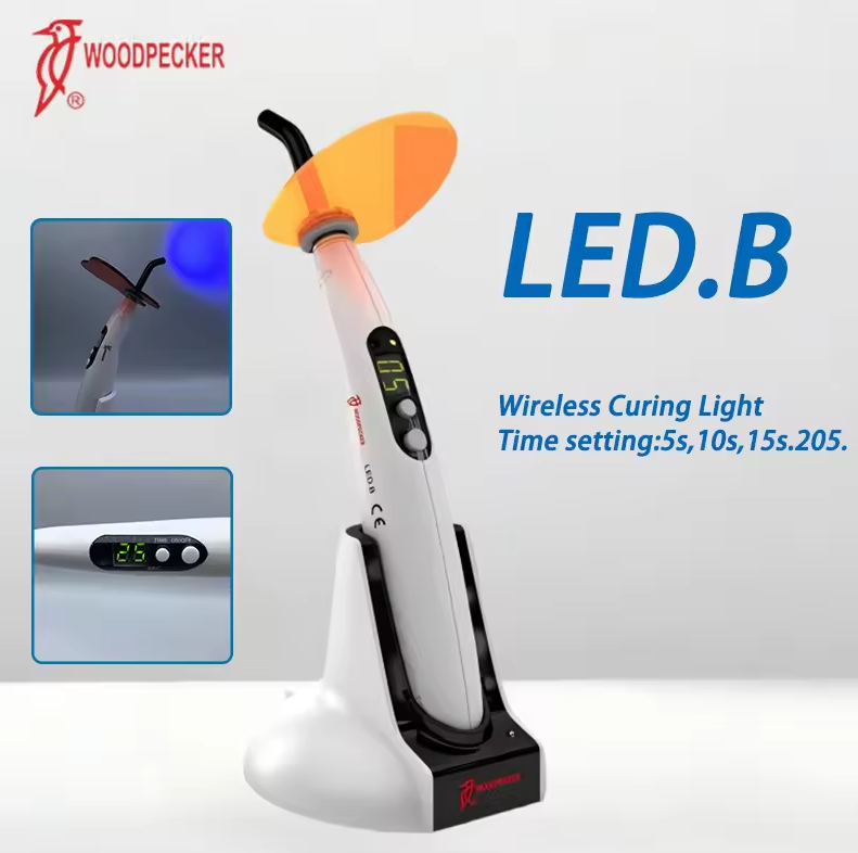 치과용 광중합기 우드페커 LED B LED 기계 구강  - Whitening Teeth Machine 리뷰 및 가격