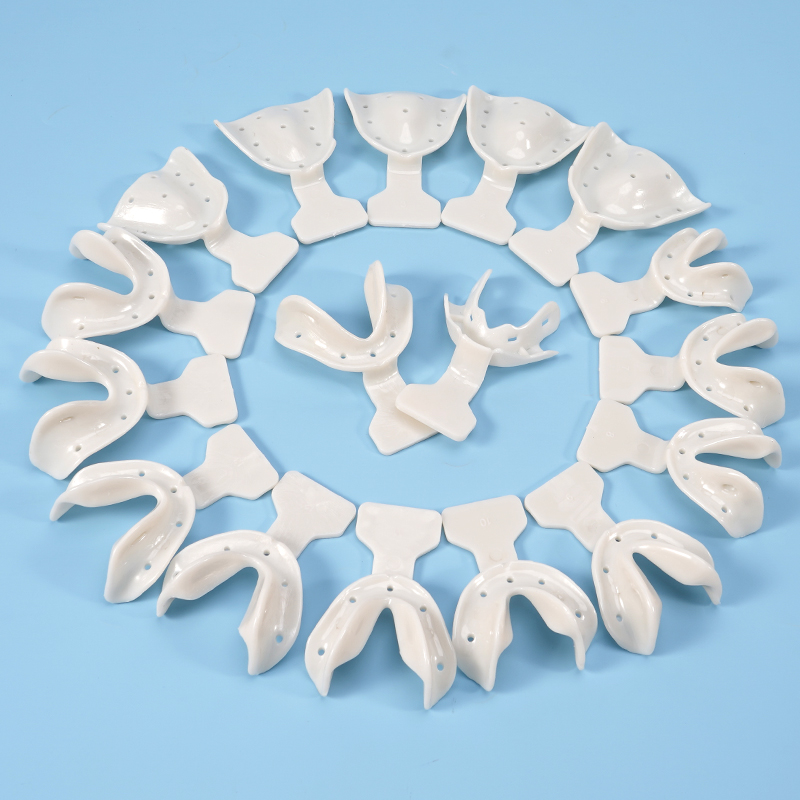 17개 치과 인상 트레이 세트 무치부 환자용 턱 홀더  - Teeth Whitening Trays 리뷰 및 가격