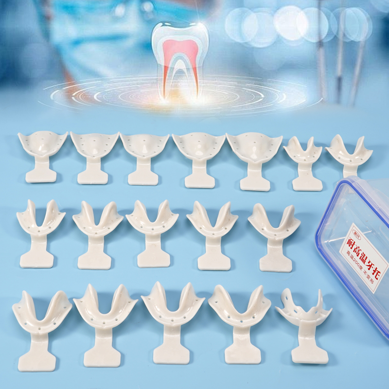 17개 치과 인상 트레이 세트 무치부 환자용 턱 홀더  - Teeth Whitening Trays 리뷰 및 가격