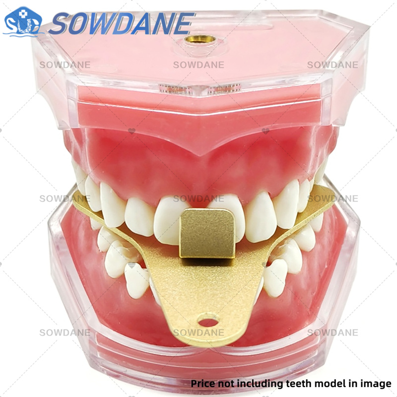 치과용 알루미늄 합금 오토클레이브 가능 치과용 트레이  - Teeth Whitening Trays 리뷰 및 가격