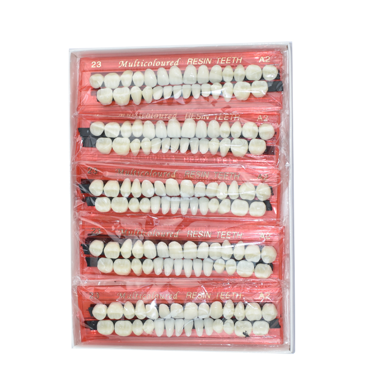 28 치아 치과 수지 틀니 세트 3D 그늘 가이드 색상 - Teeth Whitening Shade Guide 리뷰 및 가격