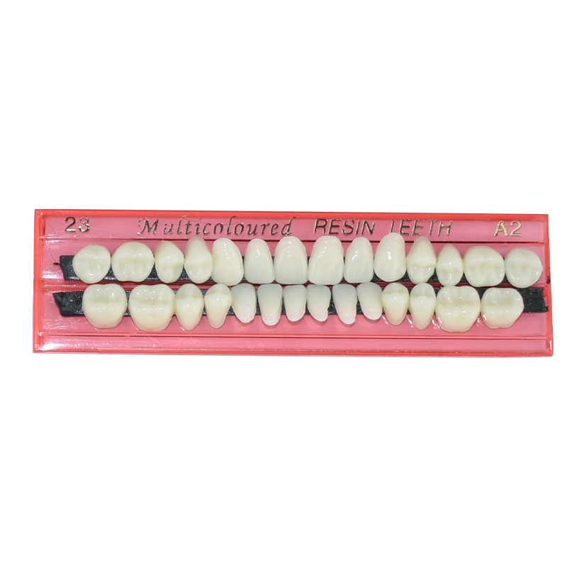 28 치아 치과 수지 틀니 세트 3D 그늘 가이드 색상 - Teeth Whitening Shade Guide 리뷰 및 가격