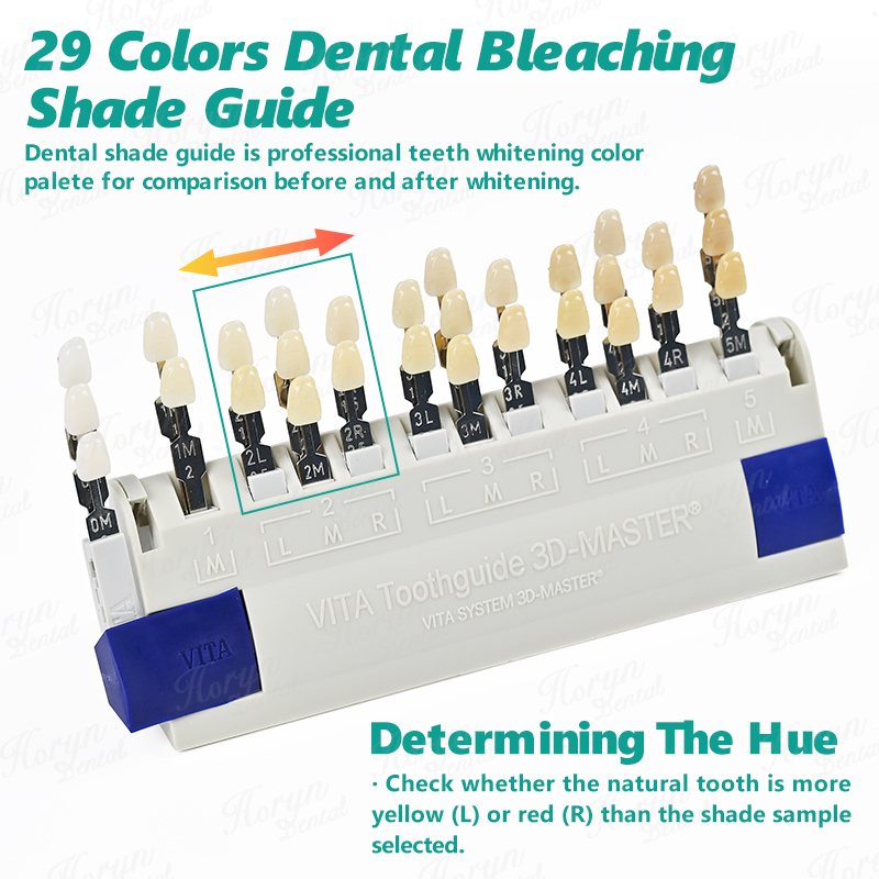비타 3D 마스터 치과 연구소 표백 색상 가이드 29가 - Teeth Whitening Shade Guide 리뷰 및 가격