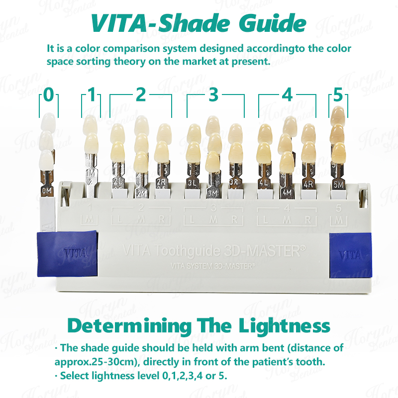 비타 3D 마스터 치과 연구소 표백 색상 가이드 29가 - Teeth Whitening Shade Guide 리뷰 및 가격