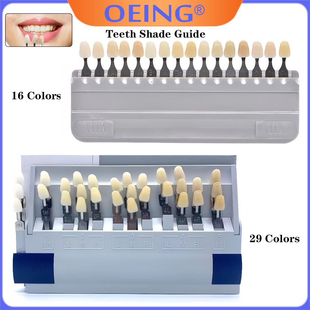 29/16 색상 치아 색상표 세라믹 비타판 치아 모델  - Teeth Whitening Shade Guide 리뷰 및 가격